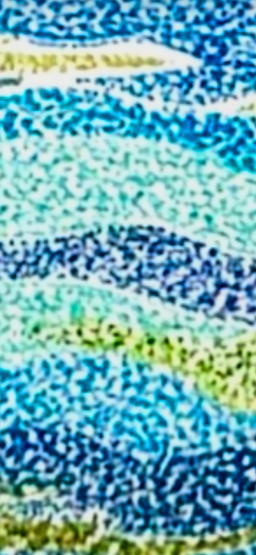 The Island of Mykonos