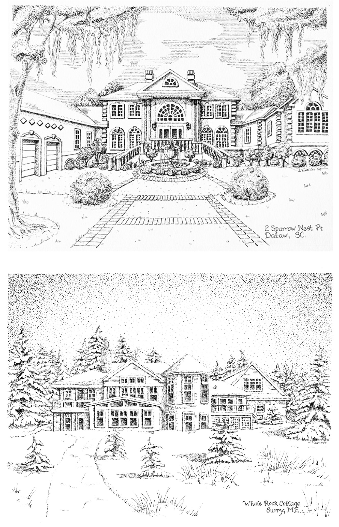 Custom Illustration