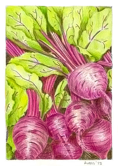 Bunch of Beets Illustration