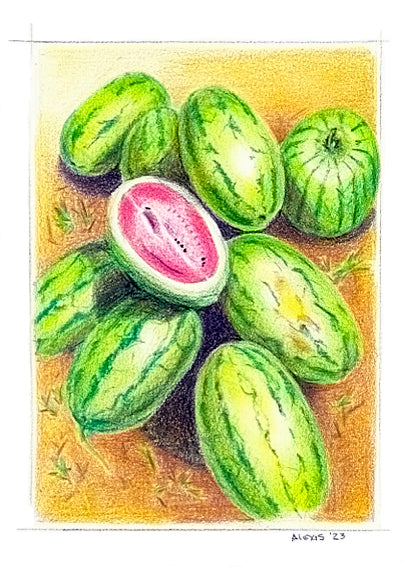 Watermelons Illustration