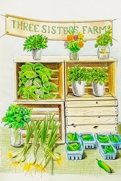 Three Sisters Farm Illustration